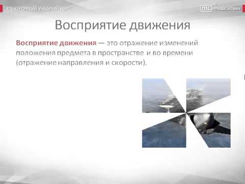 Отражение времени. Отражение время выбирать. Отражение время выбирать. Отражение времени в языке и литературе. Отражение время выбирать.