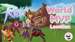 Ragnarok M:All World MVP location Tear of the Tyrant #ragnarokmeternallove #rom