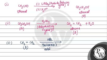 Identify the final product [D] obtained in the following sequence of reactions, ....