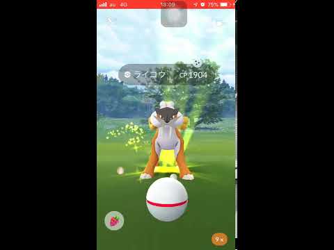 【ポケモンGO】ライコウデイ  色違いライコウゲット！