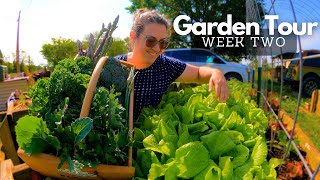 2024 Garden, Greenhouse \& HARVEST Tour, Week 2 | Zone 7 Gardening