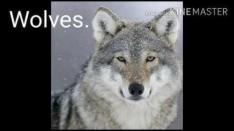 Std : 4 Sub: E.V.S 2 (History) Ls. No 8. Defeat of Internal Enemies.