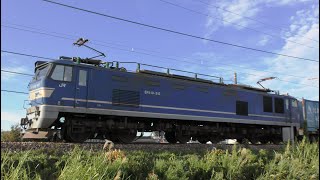 EF510-512牽引高速貨物【4K】信越本線下り4059レ