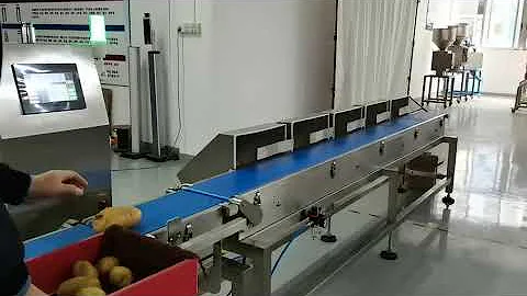 Automatic weight multi sorting machine for seafood