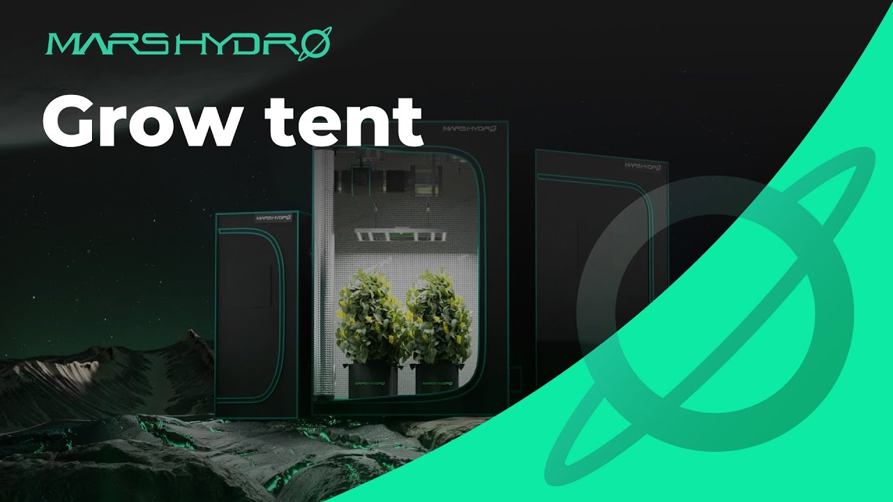 Mars Hydro Grow Tent: Your Best Indoor Grow Manager 