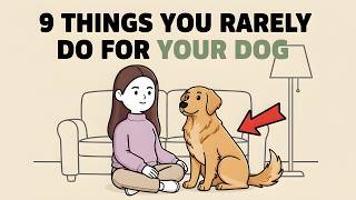 9 Things You Rarely Do for Your Dog (But Their Brain Needs Every Single Day)