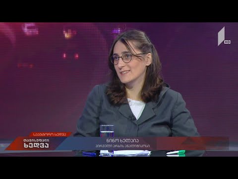 განათლების სისტემა - პირველი არხის ანალიტიკოსი ნინო ხელაია საავტორო ხედვაში