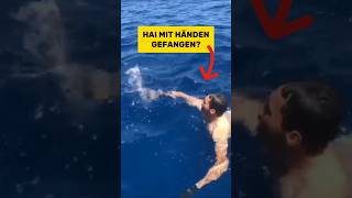 Einen Hai mit den Händen fangen?! | RasasWelt | #shorts