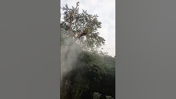 Islamic s#to #to #duet #video hort #video #YouTube channel #