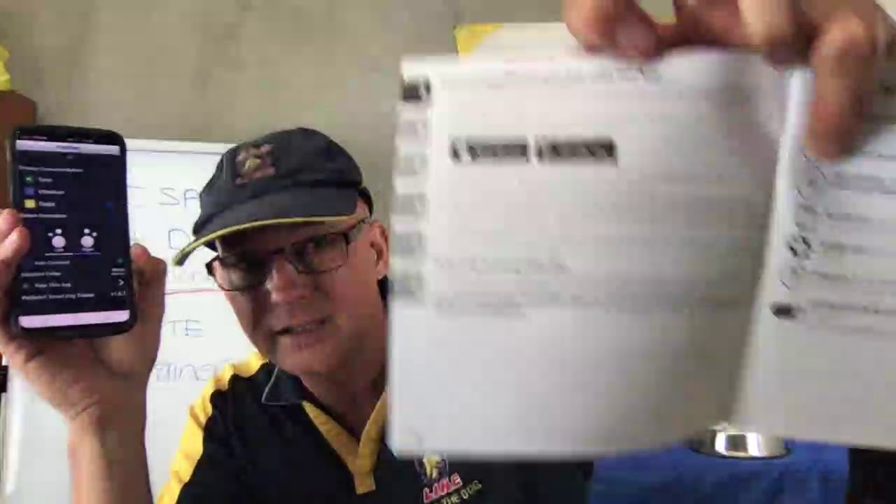 petsafe smart dog collar