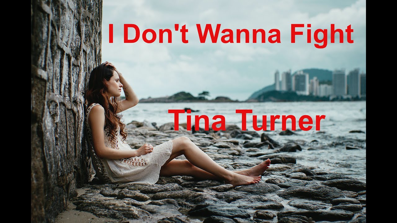 fight no more tina turner