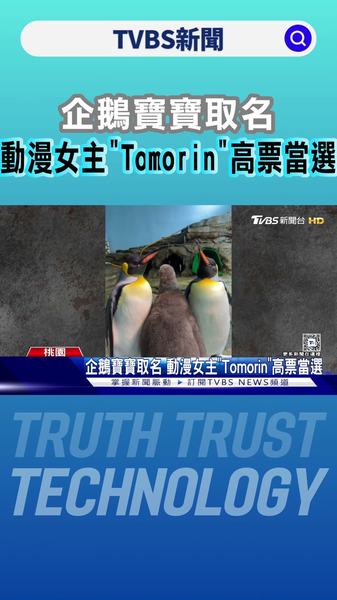 企鵝寶寶取名 動漫女主「Tomorin」高票當選｜TVBS新聞 @TVBSNEWS01