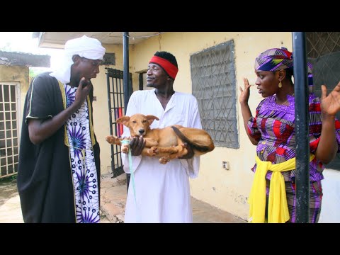 Zaiyi Layya Da Kare Dan Sholi Episode 340 Dariya Dole