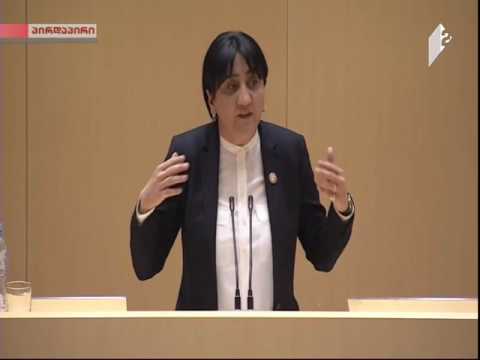 საქართველოს პარლამენტის ვიცე-სპიკერის, ირმა ინაშვილის გამოსვლა პლენარულ სხდომაზე.