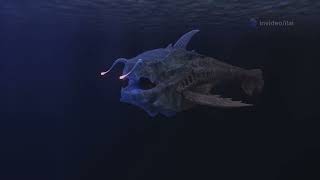 Dive into the Abyss  Meet the Deep Sea