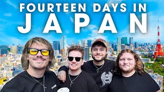 BRITS vs JAPAN | a MEGA travel vlog 🇯🇵
Support on Patreon 🙏 https://www.patreon.com/TPDTV
Join the community 👨👩👧👦 http://reddit.com/r/officialtpdtv
Check out the podcast 🎤 https://www.youtube.com/@poddy
Chat on Discord 💬 https://discord.gg/qFC3AZkwgA
Here is the supercut version of our 3 Japan videos, released in November. This version follows one consistent narrative across Tokyo, Kyoto, and our road trip to Mt. Fuji. There is no unseen footage in this upload - infact it is missing some footage such as intros, and credits. For the full 3 part experience, check out the main channel @TPD. Hope this helps with the Christmas hangover ❤️
SOCIALS:
https://www.instagram.com/officialtpdtv
https://www.tiktok.com/@officialtpdtv
https://twitter.com/OfficialTPDTV
👤 Rob https://www.instagram.com/robkellas1
👤 Raz https://www.instagram.com/fueledbyryan1
👤 Choc https://www.instagram.com/brownboulder
👤 Briody https://www.instagram.com/mattybriody
👤 Chris https://www.instagram.com/chris_poulton
👤 Mary https://www.instagram.com/marykellas1
👤 Jake https://www.instagram.com/jrvarley
👤 Dan https://www.instagram.com/dan_tpd
TPD TV USE 🛠️
Camera / Phone https://amzn.to/3En8hLx
Case https://amzn.to/4cpCeak
MacBook https://amzn.to/44f24fd
Sleeve https://amzn.to/3RENDcP
Mics https://amzn.to/3RamvlW
Audio mixer https://amzn.to/3Rc4TGq
Mic stand https://amzn.to/4leUsPY
Lighting https://amzn.to/3Rc5lo6
Tripod https://amzn.to/3Rd74tf
Portable audio mixer https://amzn.to/3YoFZae
Phone mounts https://amzn.to/4cng20C
Action Camera https://amzn.to/3Yq9fxo
Drone https://amzn.to/3G2nEcR
Storage https://amzn.to/3G04KU5
Portable storage https://amzn.to/3G05d8N
Power Bank https://amzn.to/3Rc52JY
Guitar interface https://amzn.to/42BvD9z
Teleprompter https://amzn.to/4ibFfwt
Green screen https://amzn.to/4i6DeBq
Portable speaker https://amzn.to/3FW6DkK
Luggage https://amzn.to/42mvaXH
Earphones https://amzn.to/4cpxr99
Headphones https://amzn.to/43LpxEF
These are Amazon affiliate links which provide a small commission to this channel via anything purchased via these links.
Some of these items are a revision of a version we use where the original was not available. BRITS vs JAPAN | a MEGA travel vlog 🇯🇵
