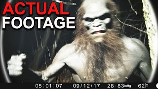 This Trail Cam Footage Shocked All Forest Rangers