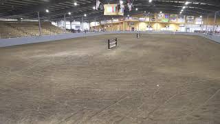 Topeka Livestock Auction Live Stream