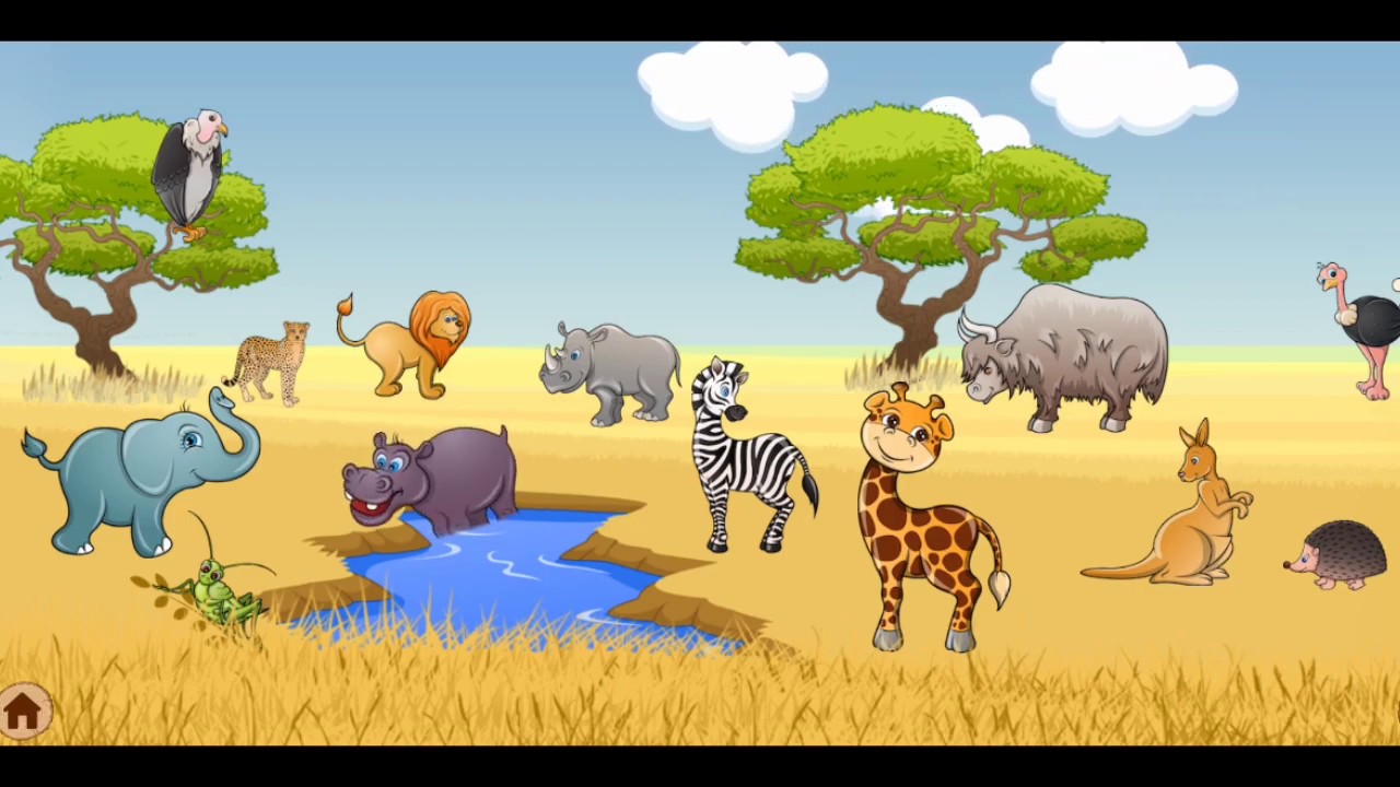 Animal Sounds for Kids Wild animals name and sound Animal Sounds for Kids Wild animals name and sound