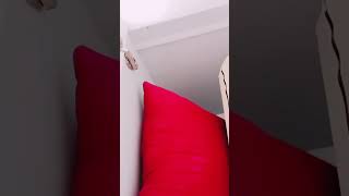Wardrobe LED Profile Light Installation | Almari Lighting