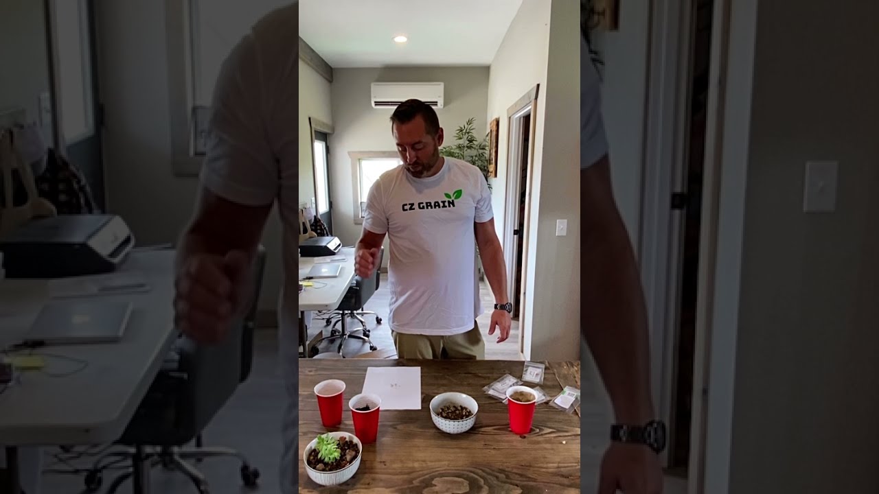 Succulent and Cactus Planting Techniques and Instructions