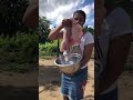 #trairao