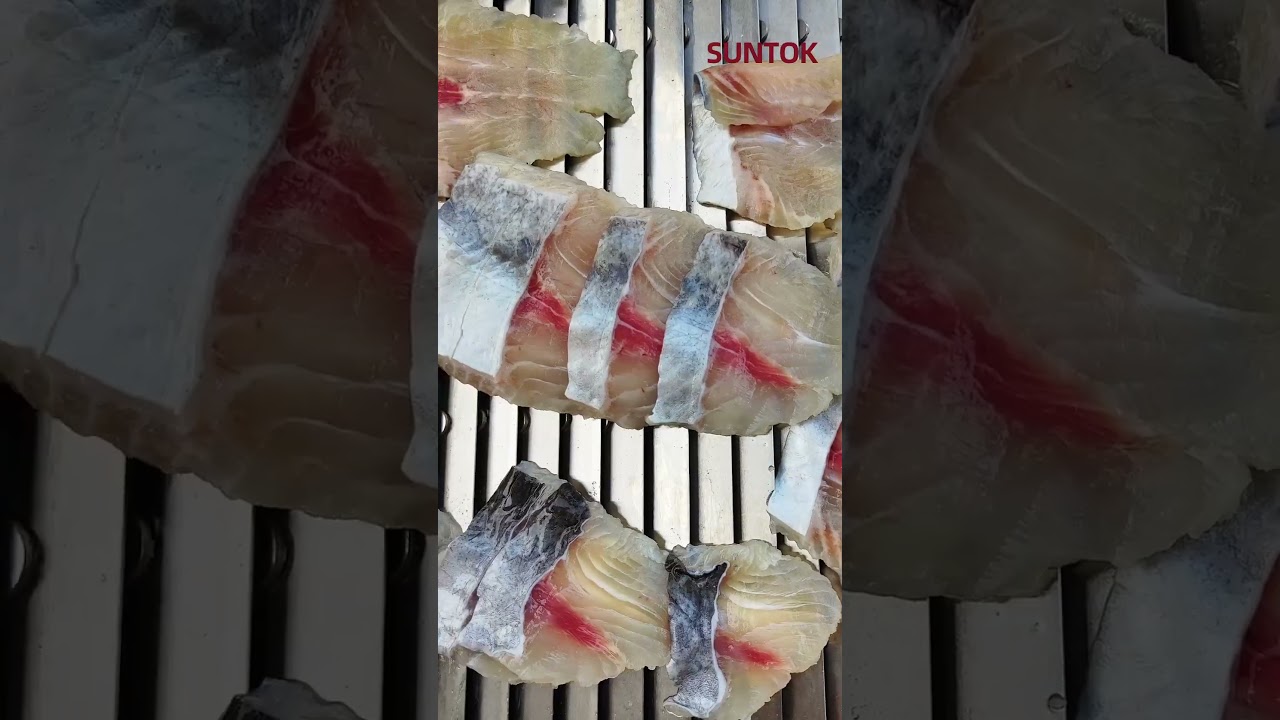 Pangasius fish slicer for seafood processing factory