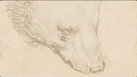 Leonardo da Vinci's Head of a Bear | Christie's