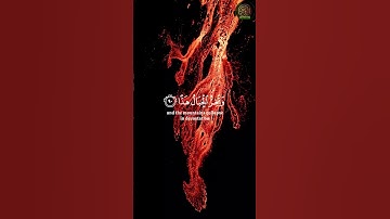 و قالوا اتخذ الرحمن ولدا  - القارئ ياسر الدوسري  #سورة_الرحمن  #yasseraldossary #ياسر_الدوسري