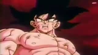 Goku:eres un grandísimo estúpido