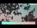 سورة البلد كاملة بصوت الشيخ ايمن رشدي سويد Surah Albalad Ayman Suwayd 