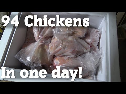 94 Chickens in One Day | DIY | Homemade Plucker | Killing Cones | Scalding