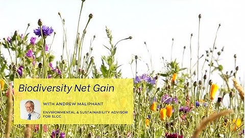 Biodiversity Net Gain for Parish, Town and Community Councils