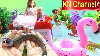 BÚP BÊ KN Channel ĐI BẮT RẮN NƯỚC ? CÁ CHÌNH ĐIỆN HAY CON GÌ ĐÂY ? ĐỒ CHƠI CÂU CÁ DU THUYỀN