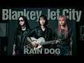 【GBA】Blankey Jet City - Rain Dog / BROWN BUNNY (90's Garage Rock Revival)