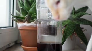 Time lapse of cold drip coffee maker Dripster