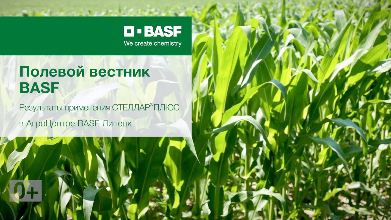 Цериакс плюс. Стеллар BASF.