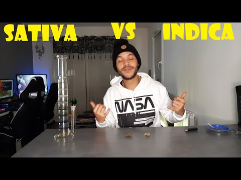 Vidéo: Différence Entre Indica Et Sativa