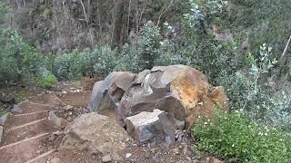 Hiking in Madeira Island, Portugal, from Monte gardens to downtown Funchal.  February 2019 screenshot 3