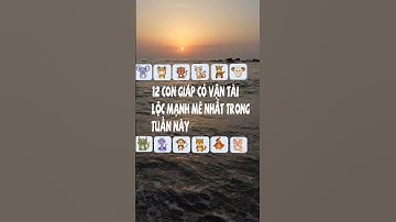 12 con giáp có vận tài lộc mạnh mẽ nhất trong tuần này