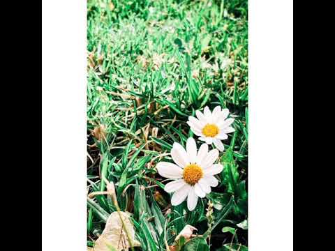 خلفيات طبيعيه