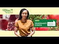 Pomegranate Farming | Kilimo na Biashara