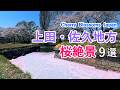 【信州の桜】上田・佐久地方の桜絶景ベスト9選！ / 上田城・龍岡城・小諸城址懐古園など / Top 9 Sakura Views at Ueda and Saku Areas, Japan