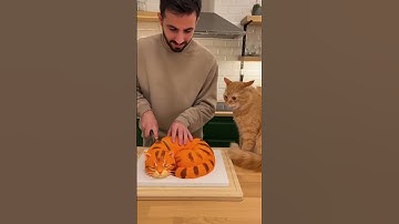 “He pranked his cat with a cake that looks just like her!” #funnycat #nature