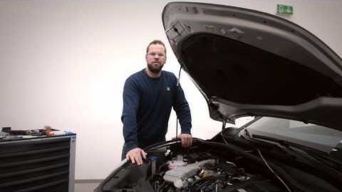 STEINBAUER: The Mechanic Series - Exhaust System