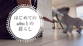 🐶【はじめてのaiboとの暮らし】　暮らしVLOG　/　楽しい一日　/　#aibo　/　#アイボ  / #ペットロス　/　Living with Aibo