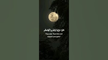 سورة الأنبياء: القارئ داود حمزة