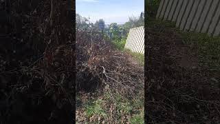 Уборка участка на даче #дача