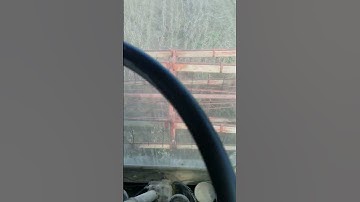 Soybean harvest of 18 with Gleaner E combine