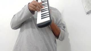Bob Marley - Sun is Shining (melodica cover)